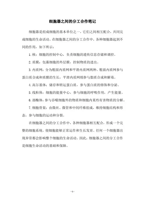 细胞器之间的分工合作笔记