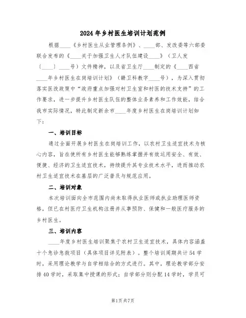 2024年乡村医生培训计划范例（五篇）