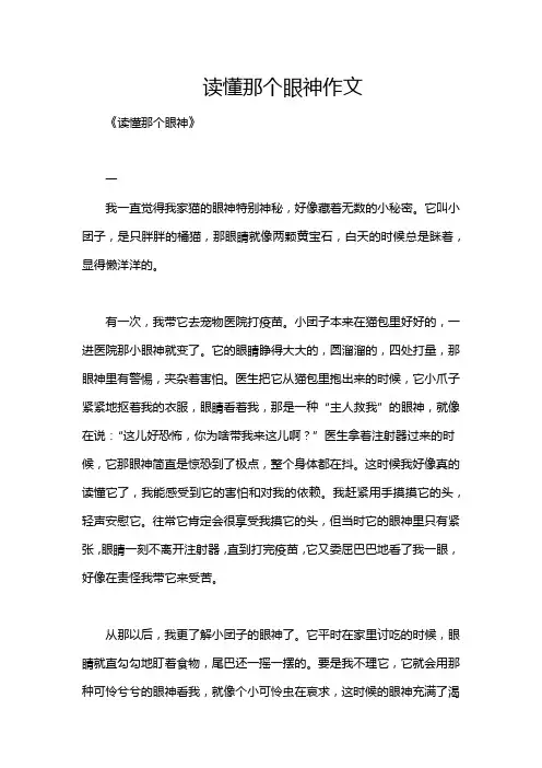 读懂那个眼神作文