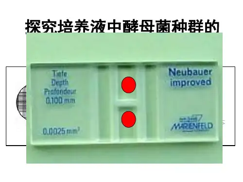 酵母菌种群数量变化个ppt课件