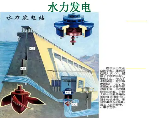 水力发电机
