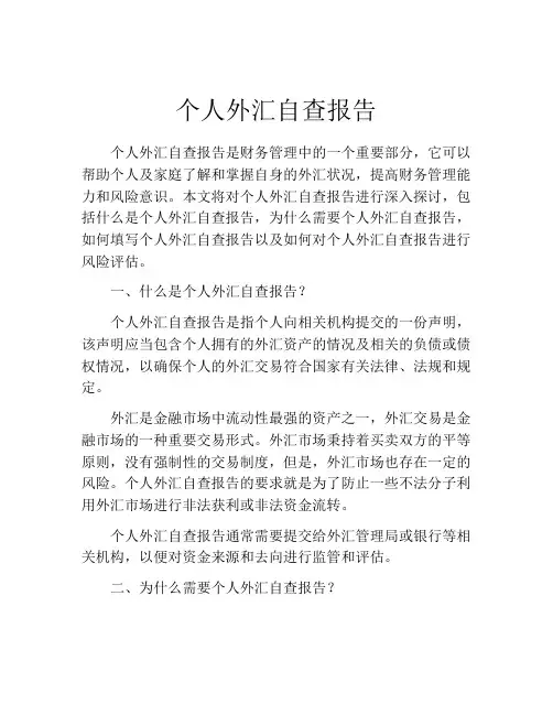 个人外汇自查报告