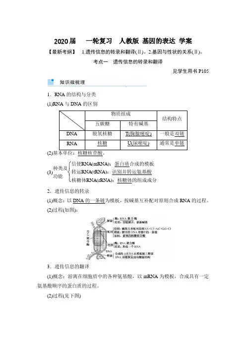 2020届 一轮复习 人教版 基因的表达 学案_1