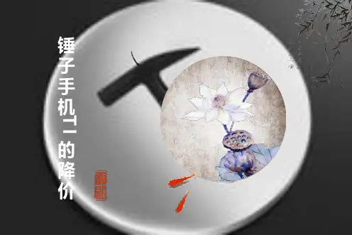 锤子手机案例分析