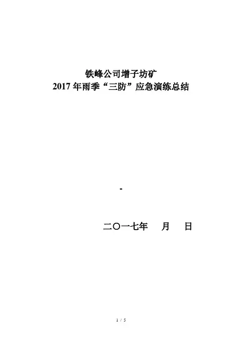 2017雨季三防工作总结