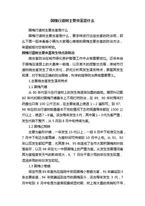 国槐行道树主要虫害是什么