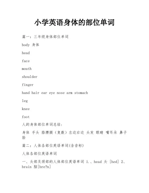 小学英语身体的部位单词