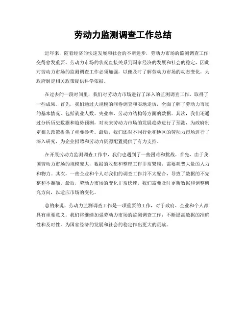 劳动力监测调查工作总结