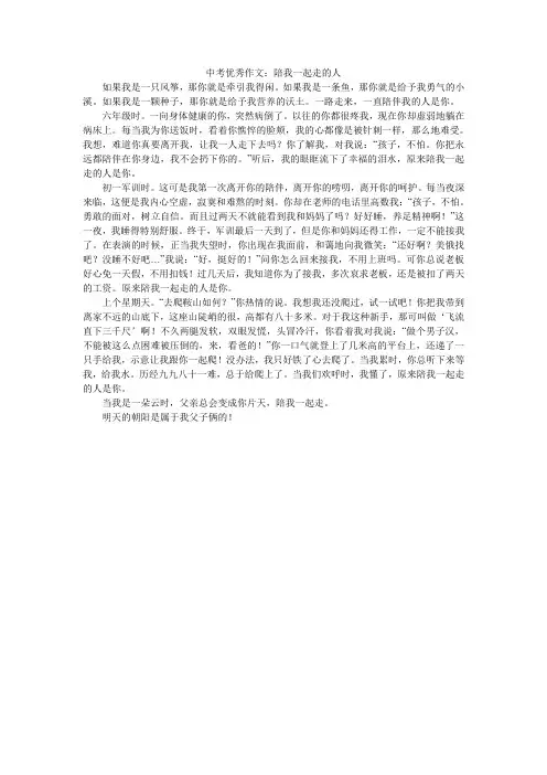 中考优秀作文：陪我一起走的人