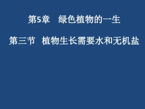 第三节植物生长需要水和无机盐 课件 2021-2022学年苏教版七年级生物上册