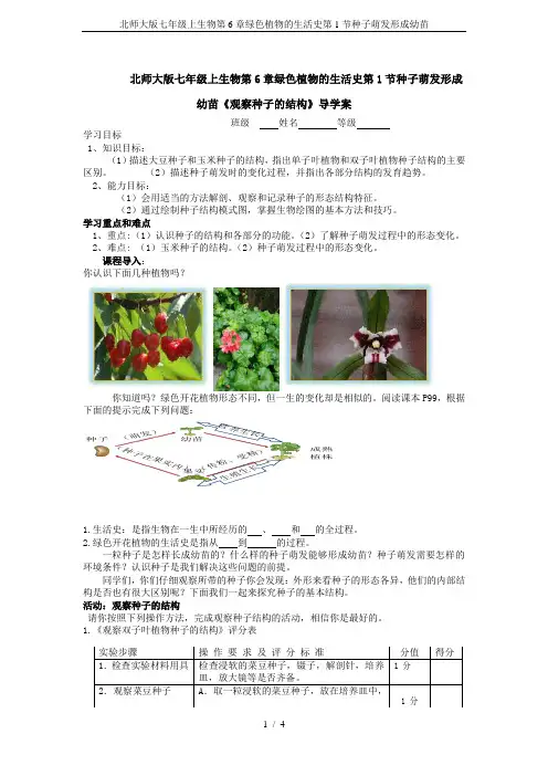 北师大版七年级上生物第6章绿色植物的生活史第1节种子萌发形成幼苗