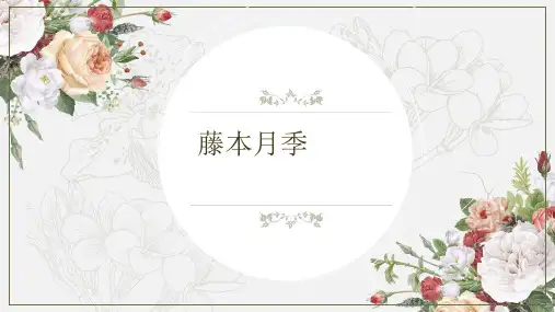 藤本月季