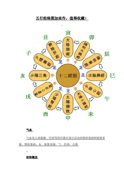 五行经络图