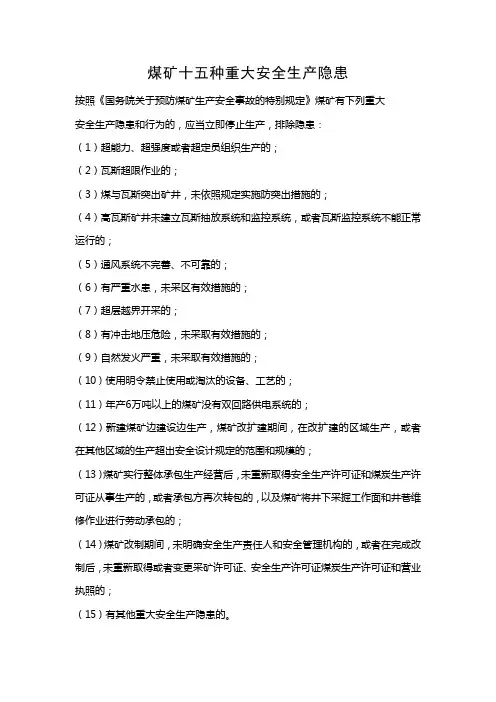 煤矿企业十五项重大安全生产隐患