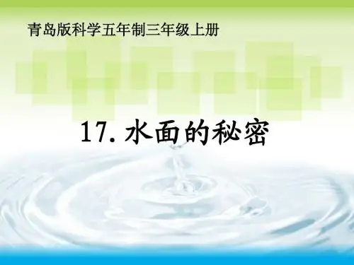 水面的秘密(课件)
