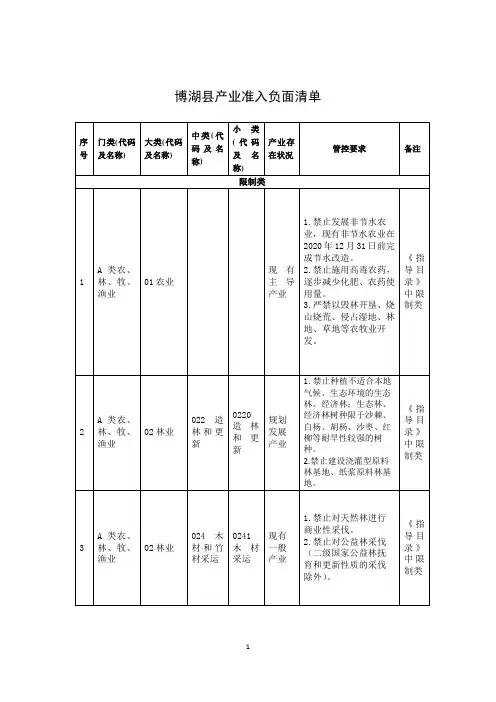 博湖产业准入负面清单