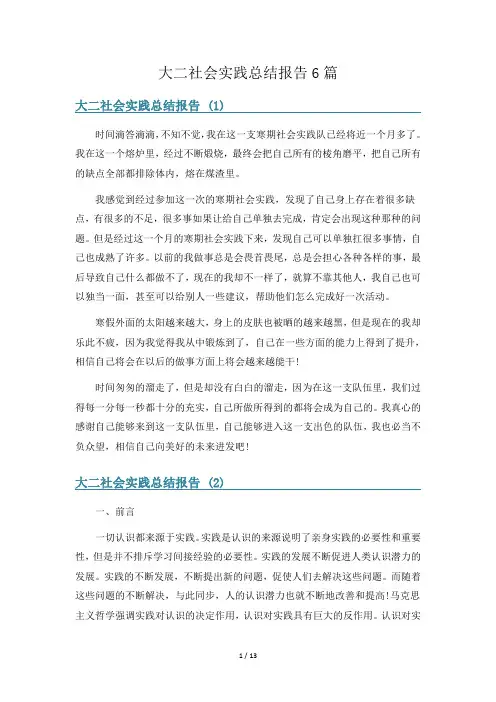 大二社会实践总结报告6篇