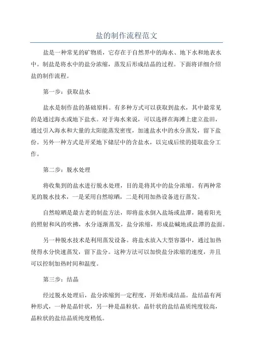 盐的制作流程范文