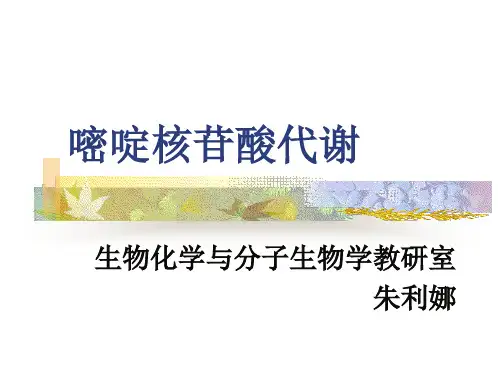 嘧啶核苷酸代谢