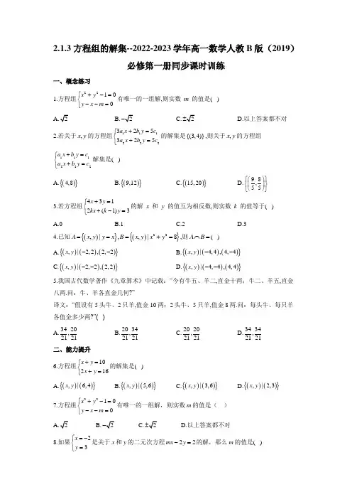 高一上学期数学人教B版(2019)必修第一册《方程组的解集》同步课时训练(含答案)