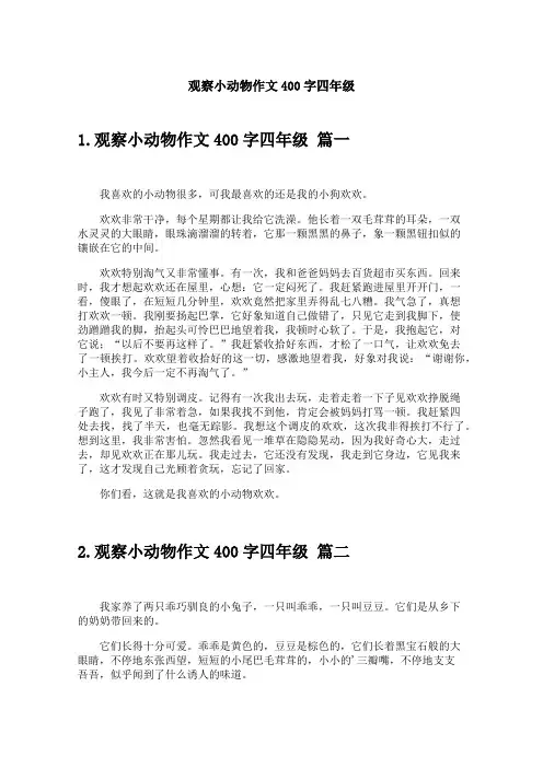 观察小动物作文400字四年级
