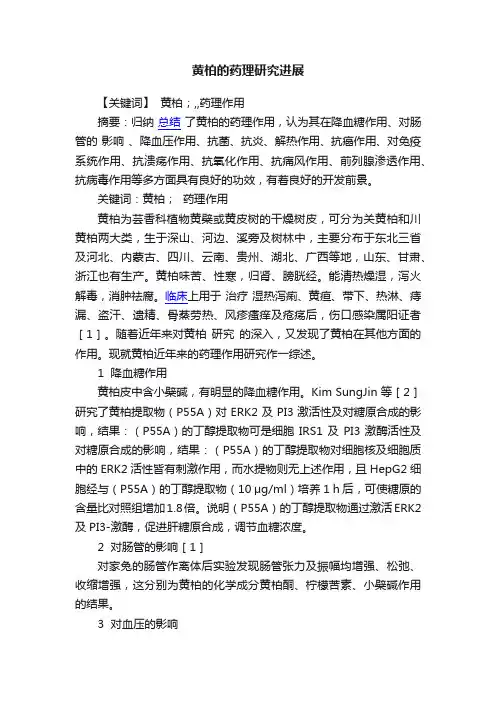 黄柏的药理研究进展