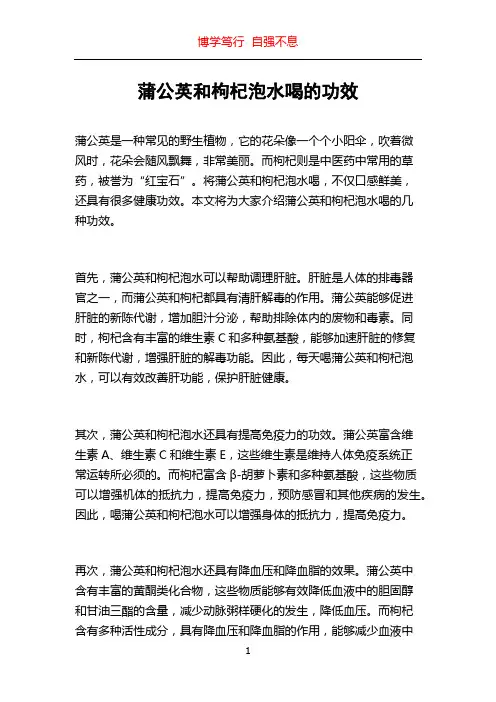 蒲公英和枸杞泡水喝的功效