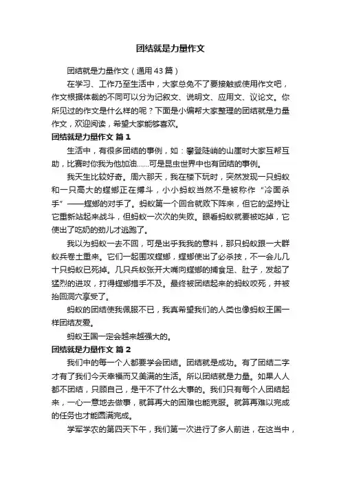 团结就是力量作文