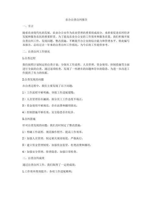 农办自查自纠报告