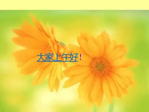 常用管理工具培训教材课件