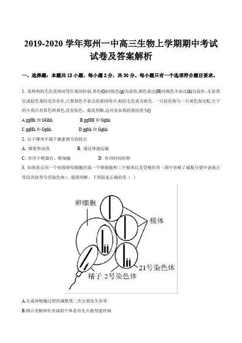 2019-2020学年郑州一中高三生物上学期期中考试试卷及答案解析