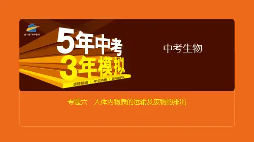 中考生物专题六——人体内物质的运输及废物的排出