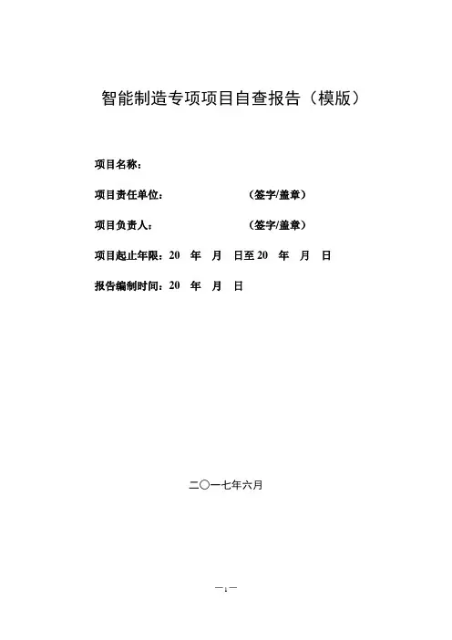 智能制造专项项目自查报告(模板)