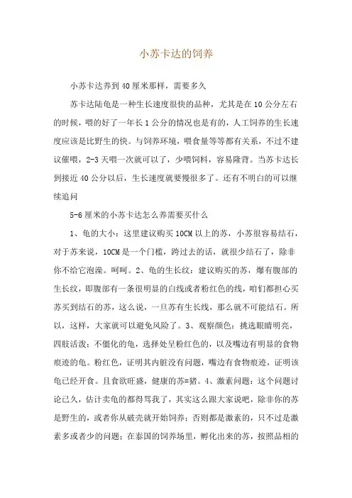 小苏卡达的饲养