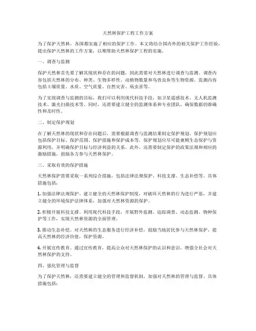 天然林保护工程工作方案