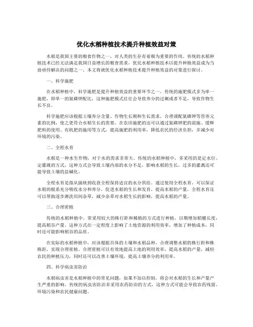 优化水稻种植技术提升种植效益对策