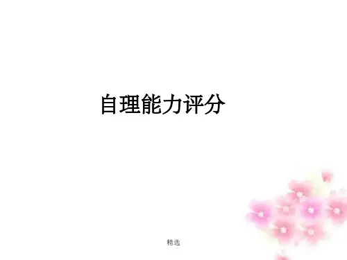 自理能力评分PPT课件