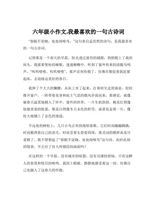 六年级小作文,我最喜欢的一句古诗词