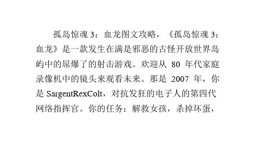 孤岛惊魂3：血龙图文全攻略