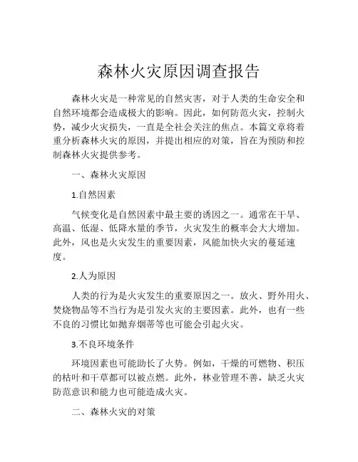 森林火灾原因调查报告