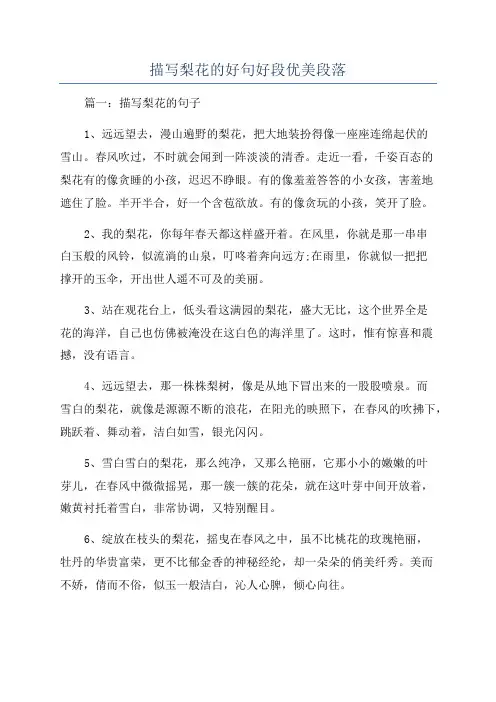 描写梨花的好句好段优美段落
