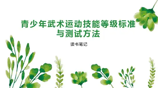 青少年武术运动技能等级标准与测试方法
