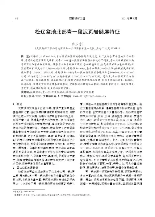松辽盆地北部青一段泥页岩储层特征