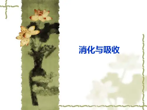 (精品)生理课件：消化与吸收