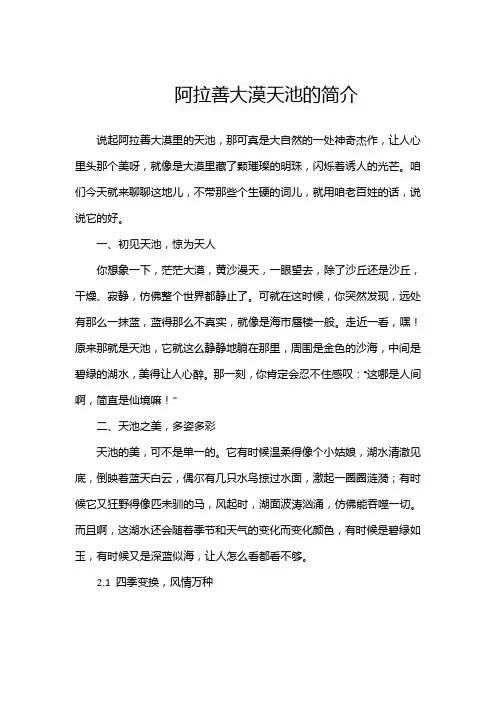 阿拉善大漠天池的简介