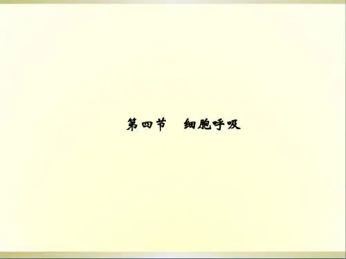 高中生物 3.4 细胞呼吸课件 浙科版必修1