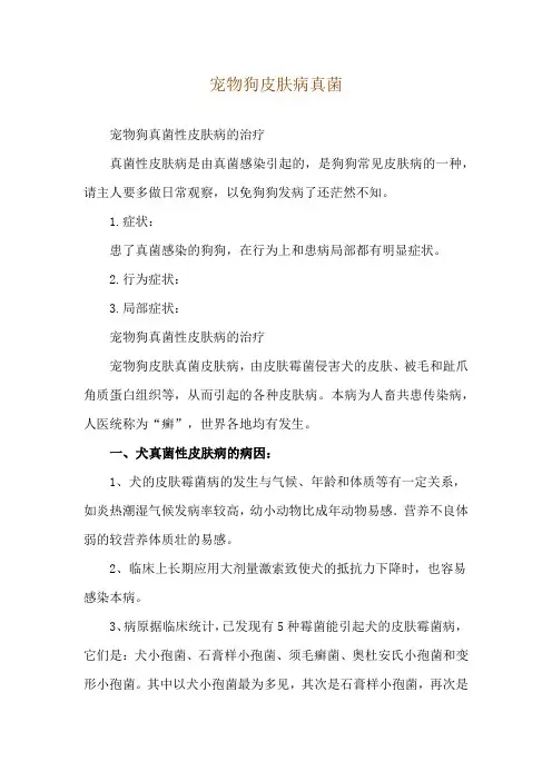 宠物狗皮肤病真菌