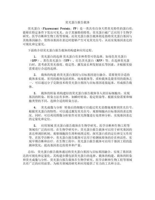 荧光蛋白报告载体