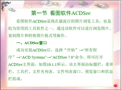 电脑基础知识电脑基础第10章课件.ppt