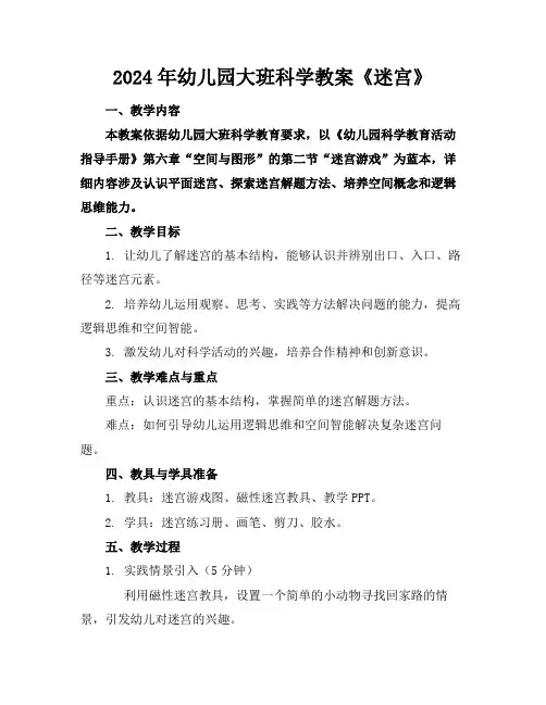 2024年幼儿园大班科学教案《迷宫》